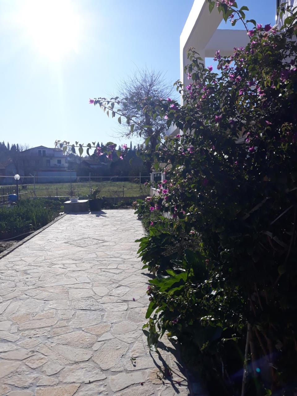 Neighbourhood, Natural landscape, Garden, Area and facilities