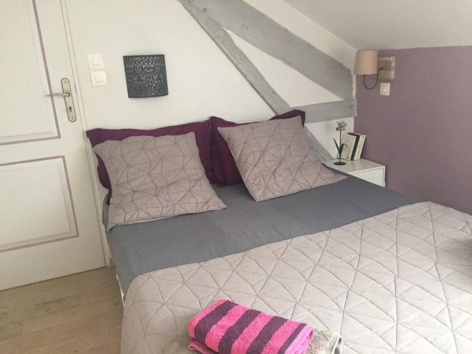APPARTEMENT COSY ENTRE BOSQUET ET BEAUMONT Apartment in Pau
