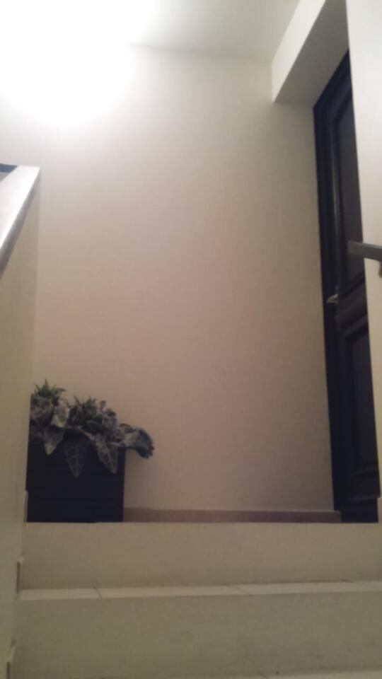 APPARTEMENT COSY ENTRE BOSQUET ET BEAUMONT Apartment in Pau