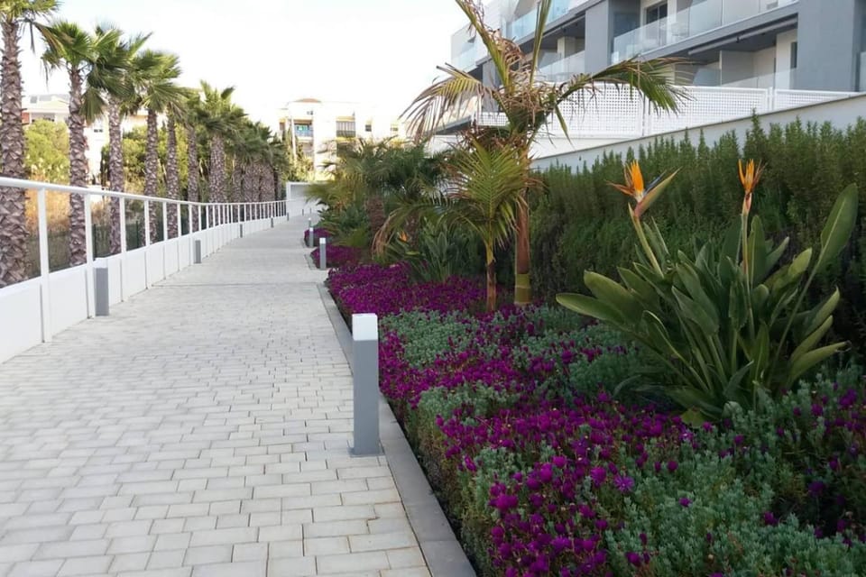 Garden view