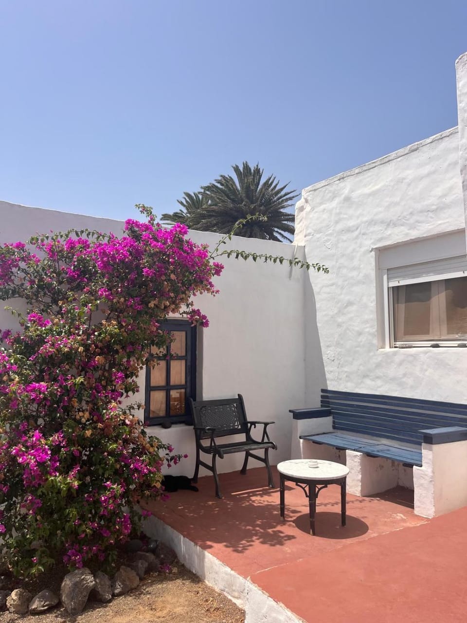 Garden, Garden view