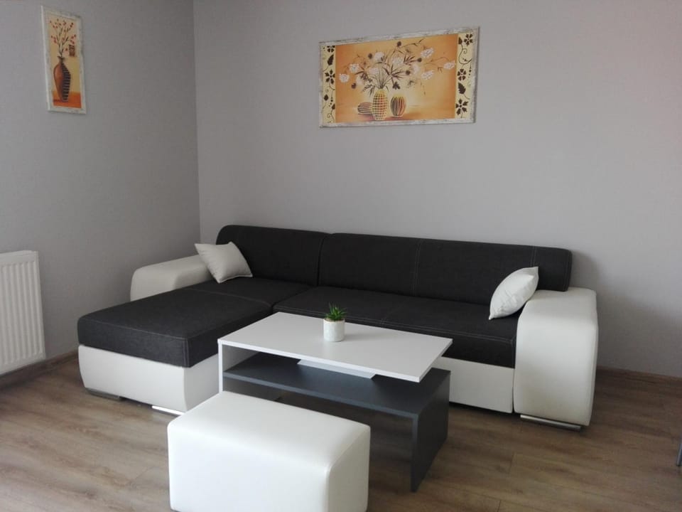 Apartament Marzenie 9 - Opole Apartment in Czechia