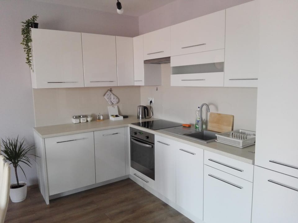 Apartament Marzenie 9 - Opole Apartment in Czechia