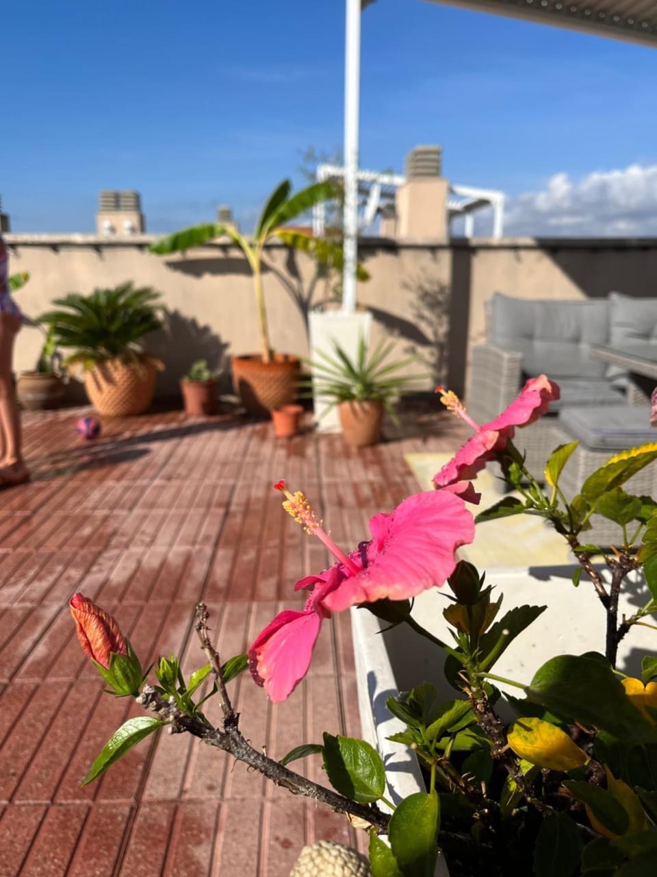 La azotea Apartment in Cambrils
