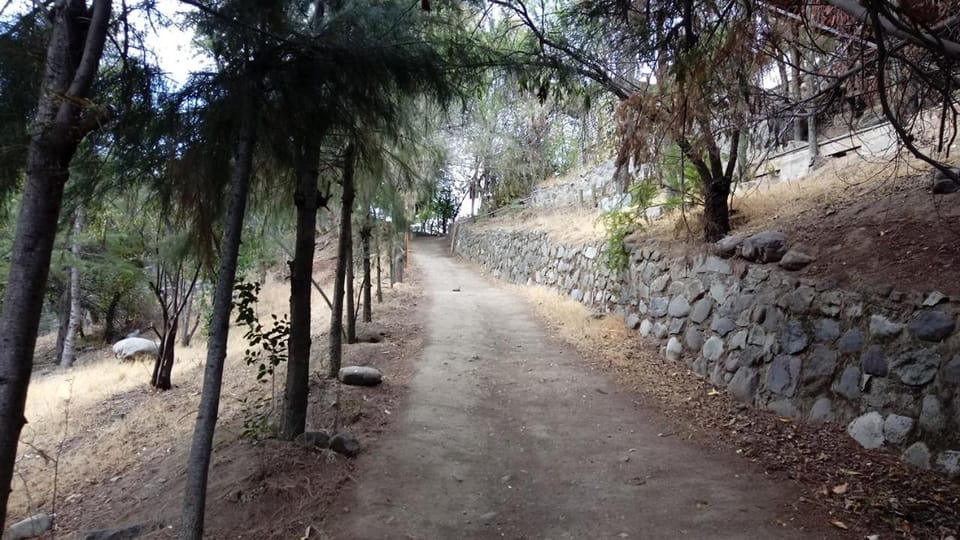 Natural landscape