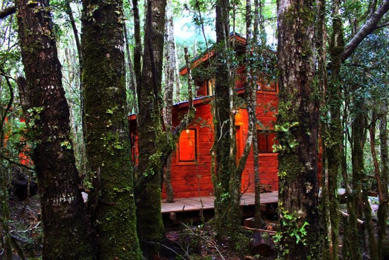 Cabañas Bosque Milenario Nature lodge in Los Ríos, Chile