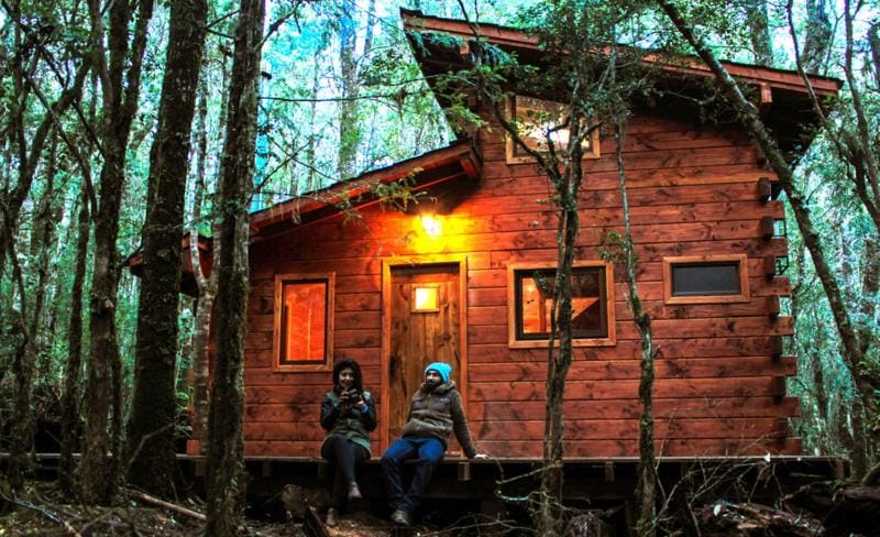 Cabañas Bosque Milenario Nature lodge in Los Ríos, Chile