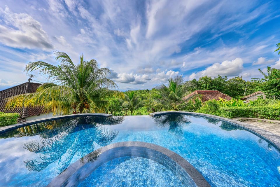 Natural landscape, Garden, Pool view, Swimming pool
