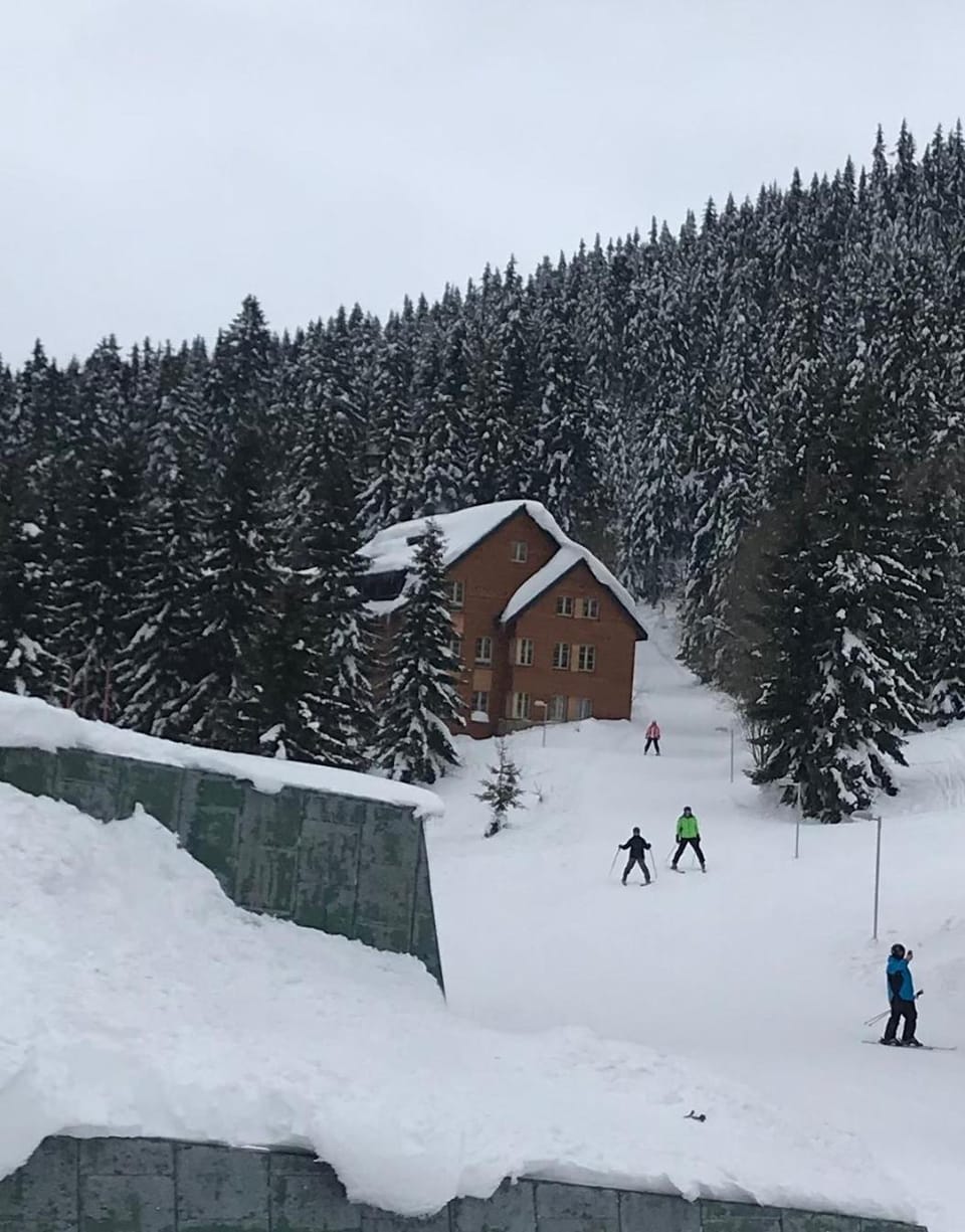 Skiing