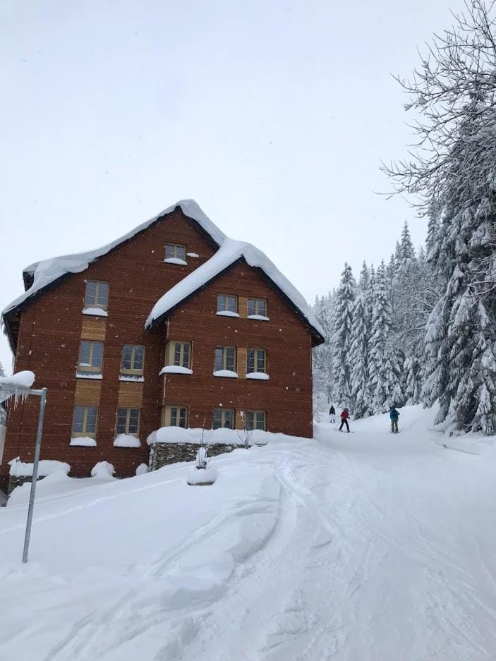 Skiing