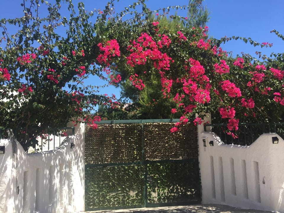 Casa Stella Marina Apartment in Province of Taranto