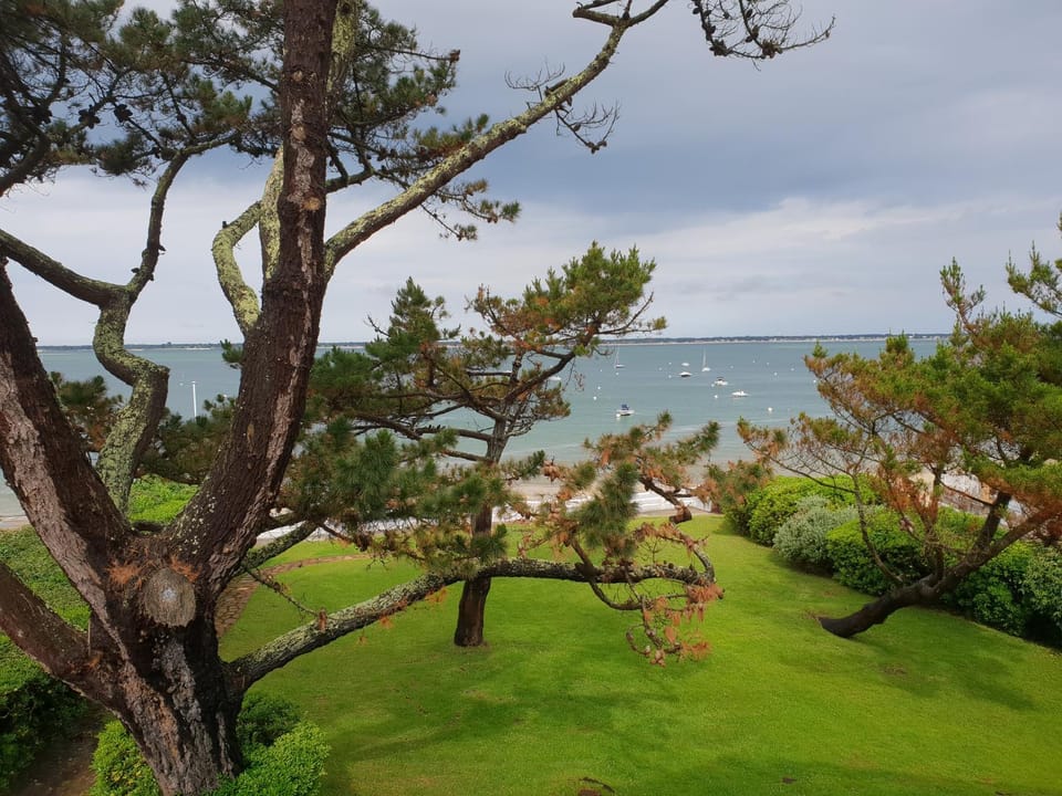 Garden, Garden view, Sea view