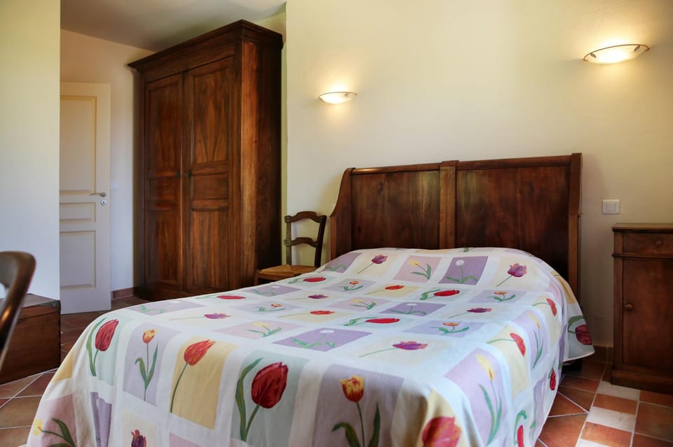 SaS DOMAINE DELMAS Bed and Breakfast in Occitanie