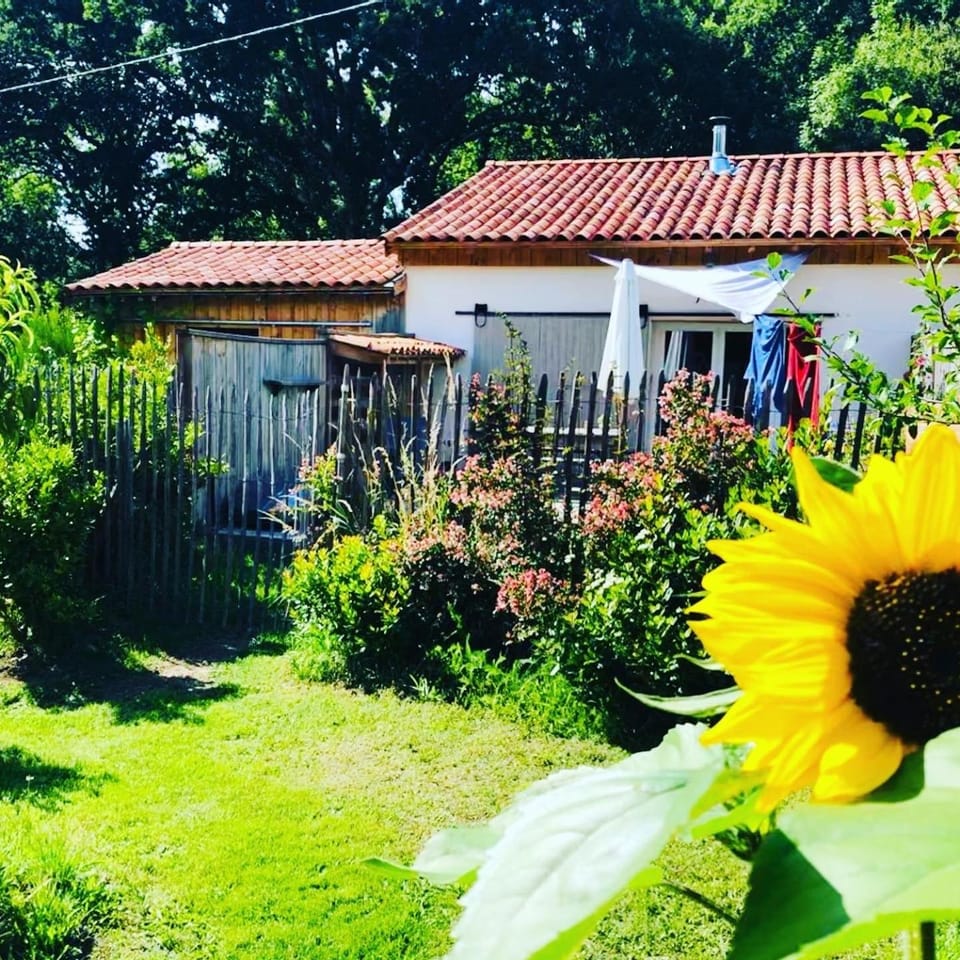 LES VACANCES AUX CERCINS House in Nouvelle-Aquitaine