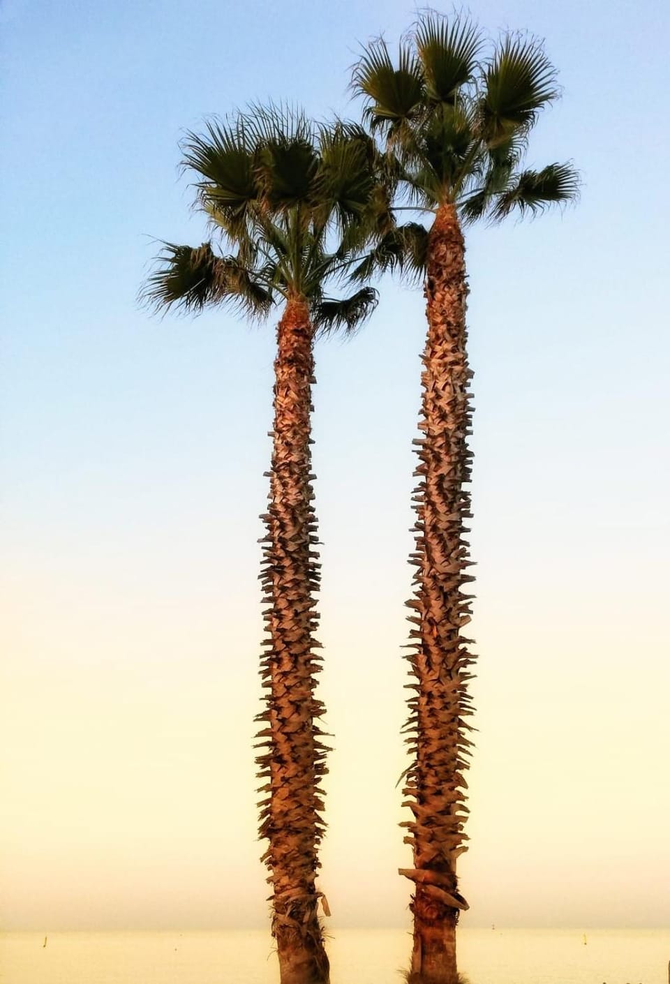 Appartamento Mare Nardo Apartment in Porto Sant'Elpidio