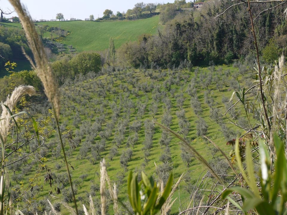 Natural landscape