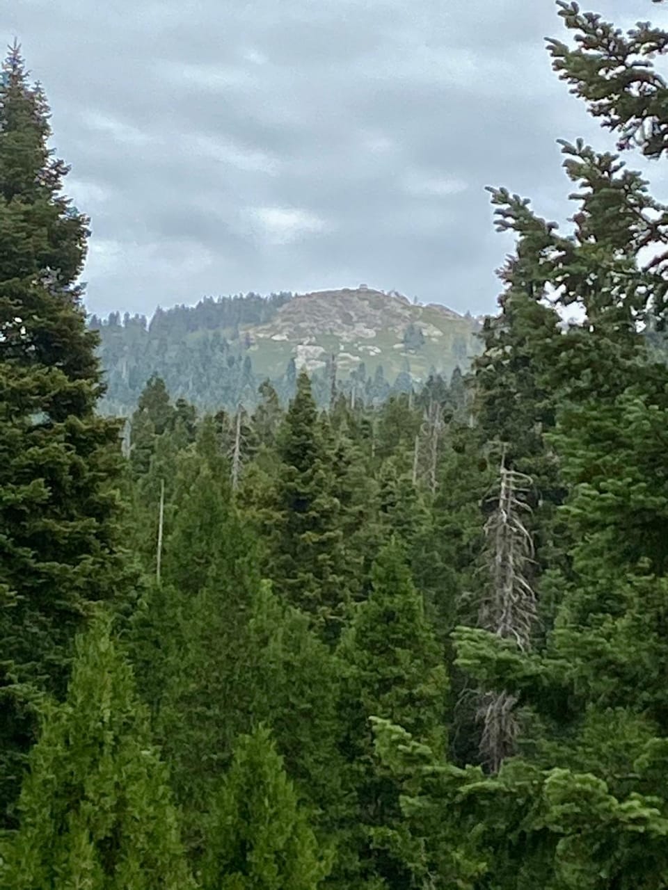 Sequoia National Forest CabinK Cabin in Sierra Nevada