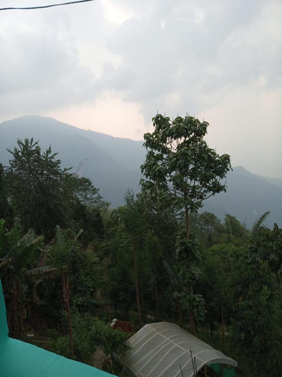 Mountain view