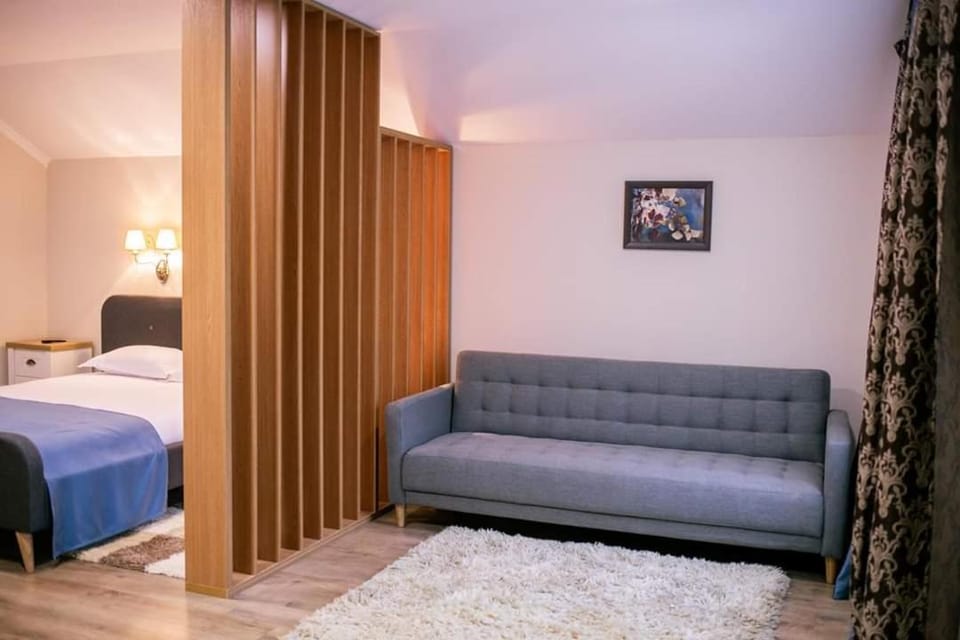 Casa Claudia Bed and Breakfast in Romania