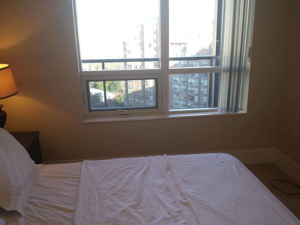 SPECTACULAR VIEW, 2 BEDROOMS FURNISHED CONDO and BEST LOCATION Apartment in Mississauga