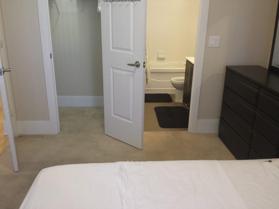 SPECTACULAR VIEW, 2 BEDROOMS FURNISHED CONDO and BEST LOCATION Apartment in Mississauga