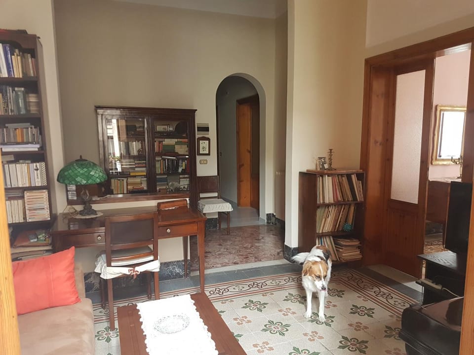 Library, Living room