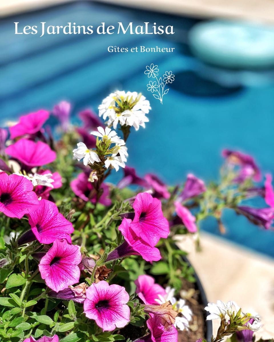 Garden, Swimming pool
