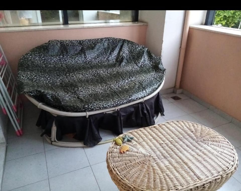 Balcony/Terrace, Balcony/Terrace