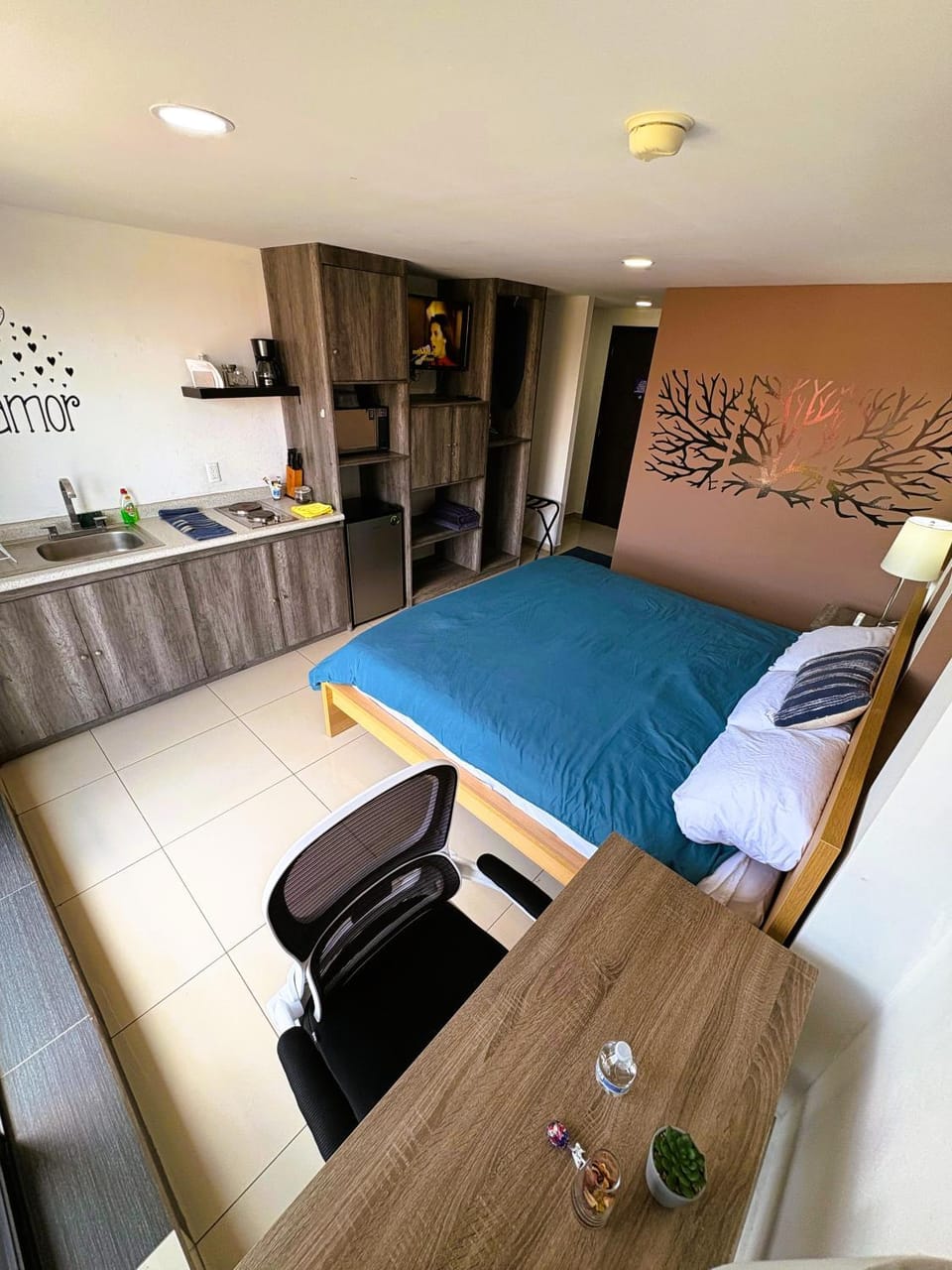 Bed, TV and multimedia, Kitchen or kitchenette, Photo of the whole room, Seating area, Bedroom