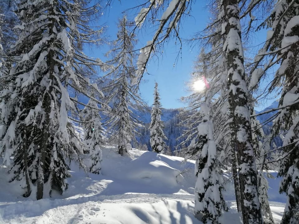 Vista Pelmo Apartment in Trentino-South Tyrol