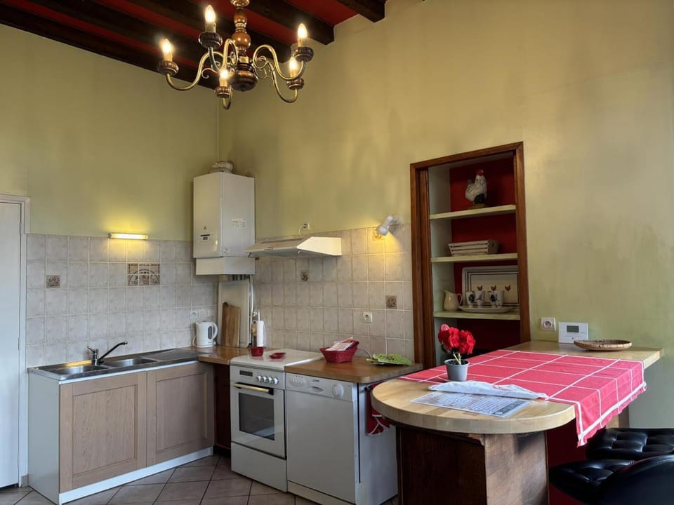 Gîte lumineux dans ancienne orangerie avec jardin et barbecue - FR-1-489-281 House in Auvergne-Rhône-Alpes