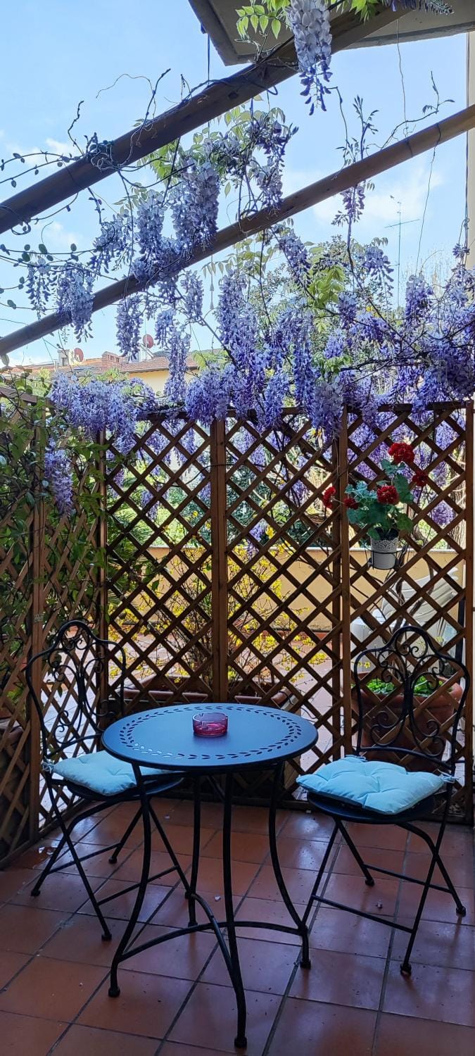 Spring, Balcony/Terrace