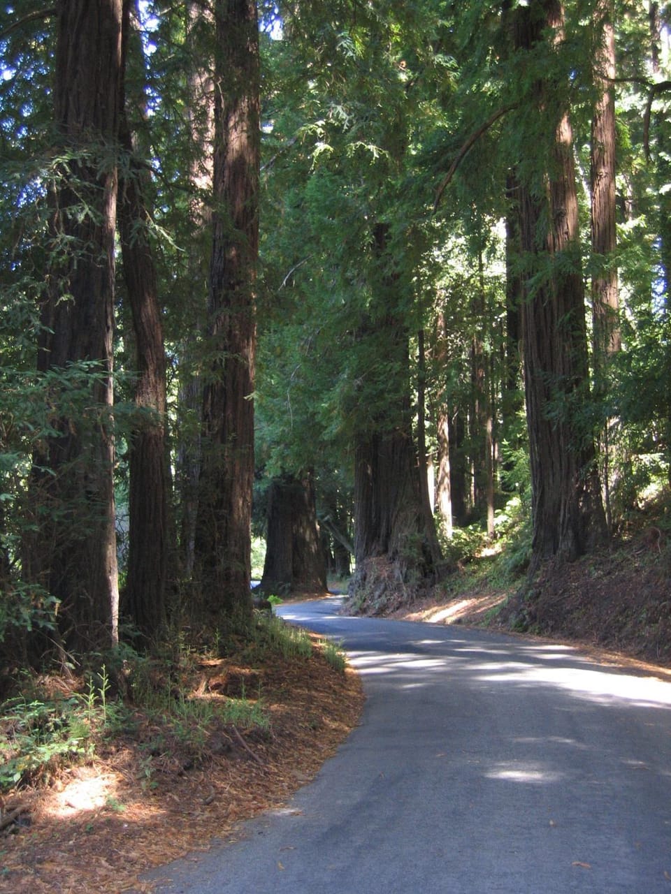 Pescadero Creek Inn Country House in San Francisco Bay Area