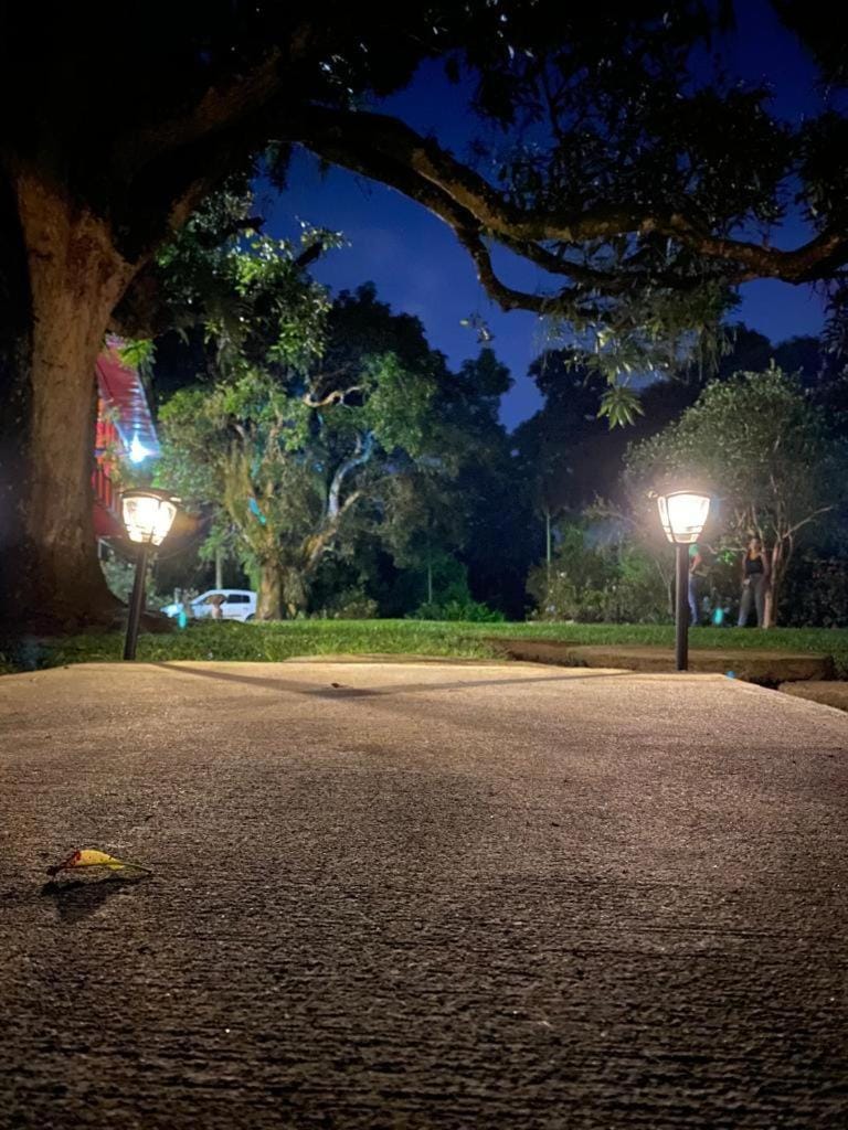 Night, Garden