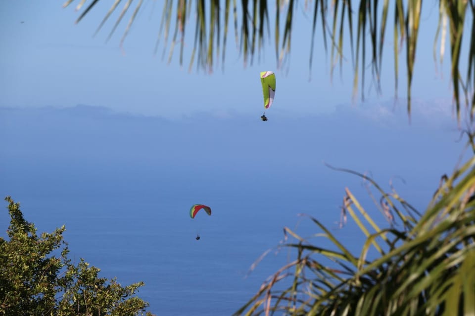 Bird's eye view, Sea view