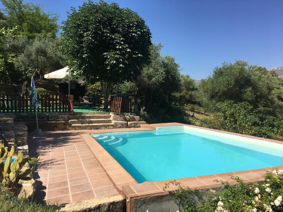 Pool view, Swimming pool, Swimming pool