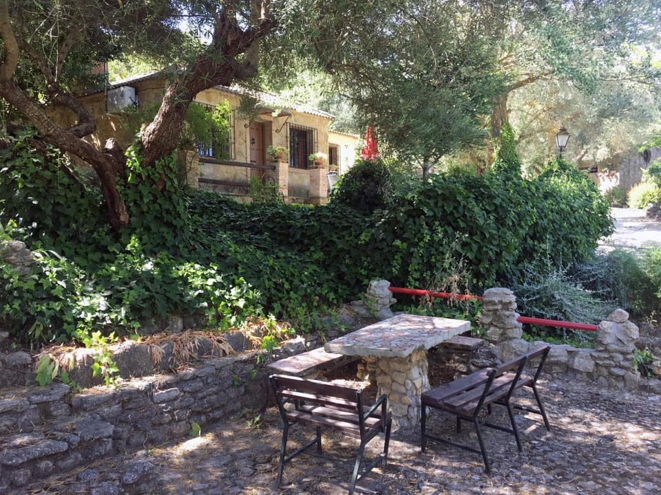 Patio, Garden