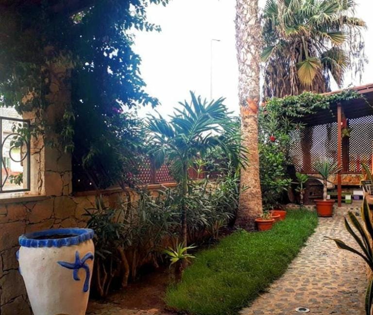 Garden, Garden
