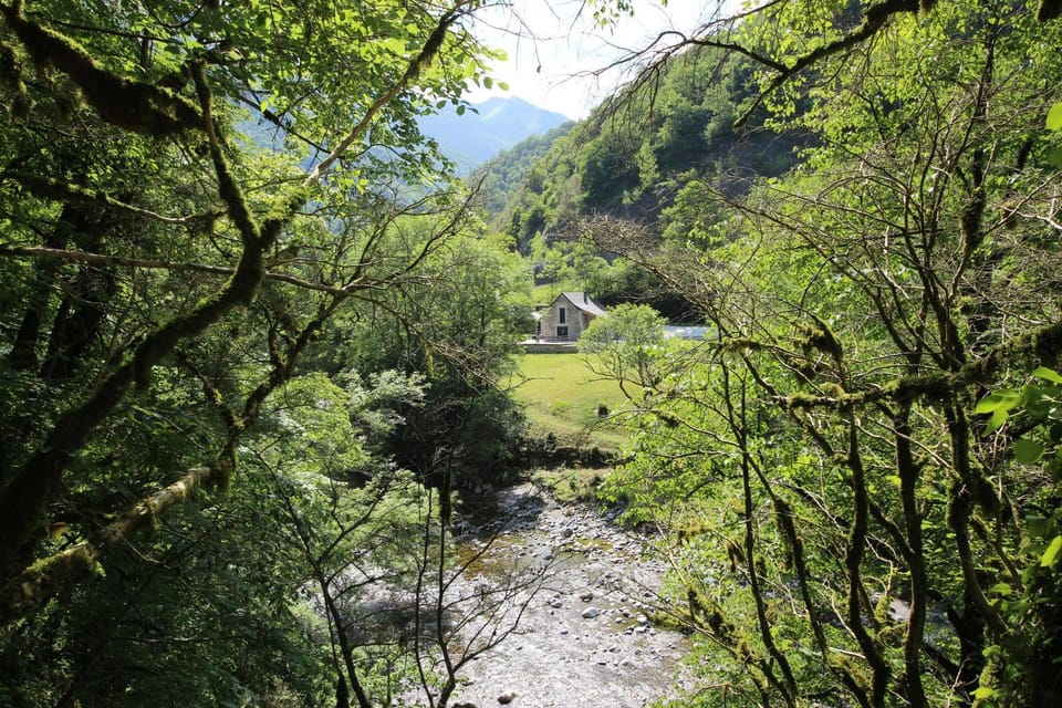 Natural landscape