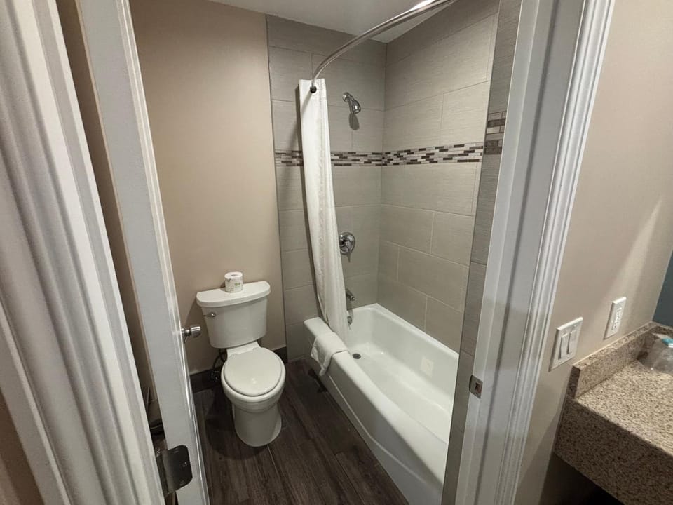 Shower, Toilet, Bathroom, Bath