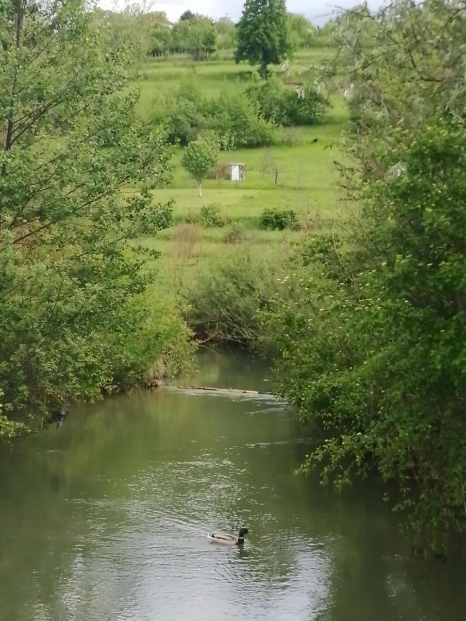 Natural landscape, River view
