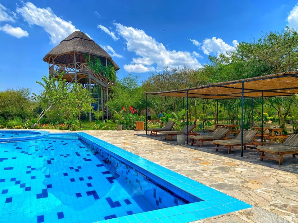 Swimming pool