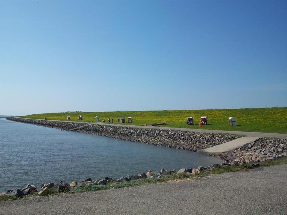Natural landscape
