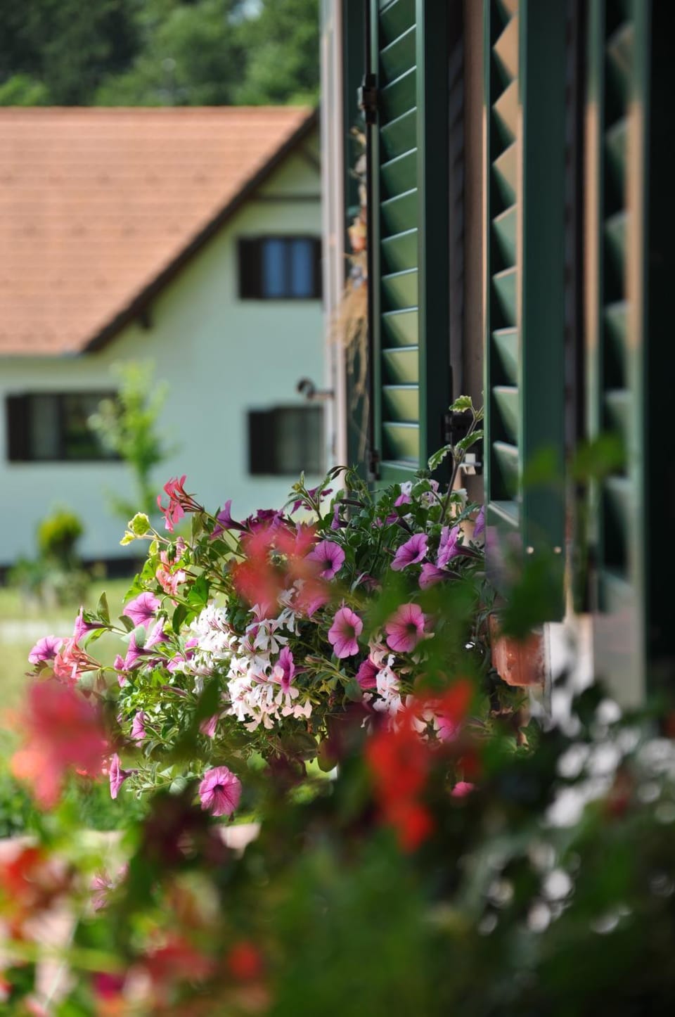 Property building, Facade/entrance, Garden
