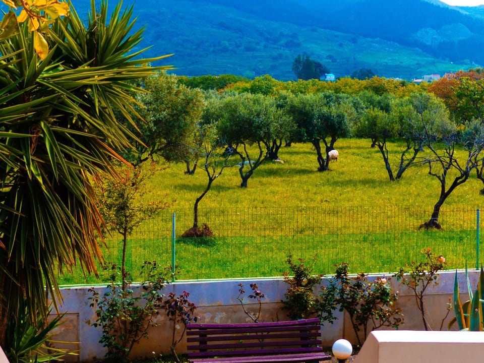 Natural landscape, Garden view, Mountain view
