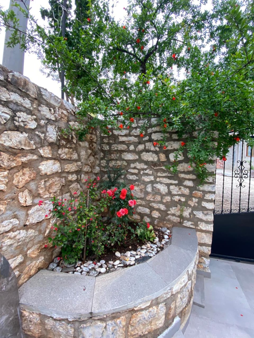 Garden view