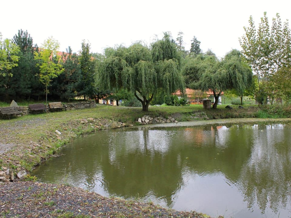 Žabonosy Mlýn Bed and Breakfast in Czechia