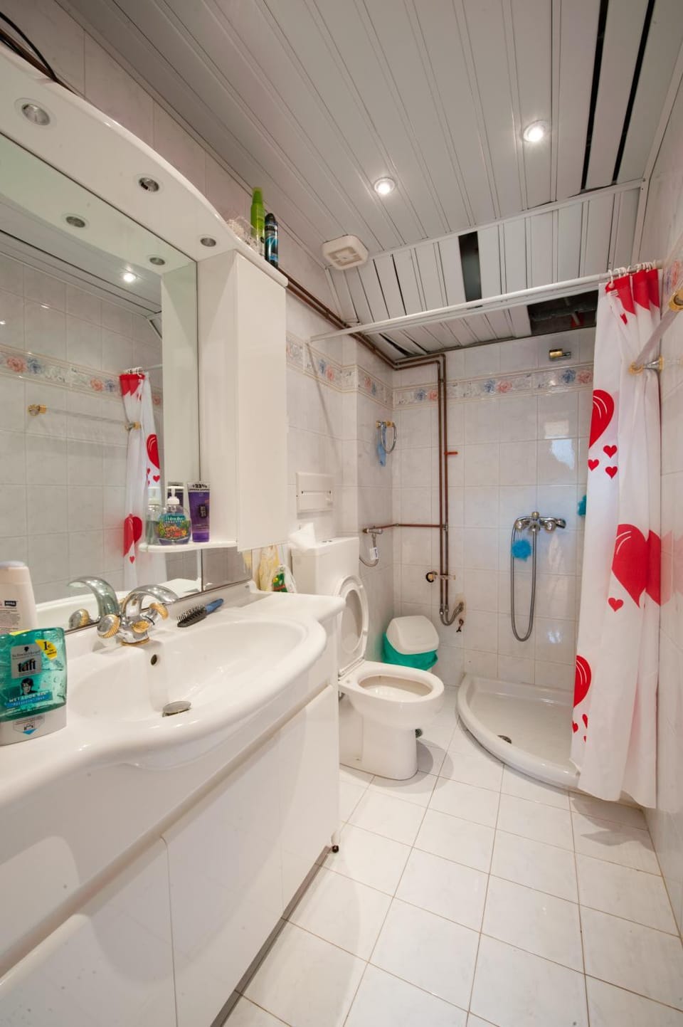 Shower, Toilet