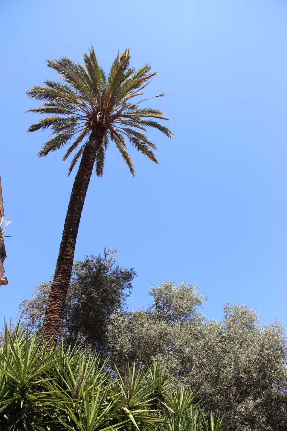 Corte del Merlo Bed and Breakfast in Palermo
