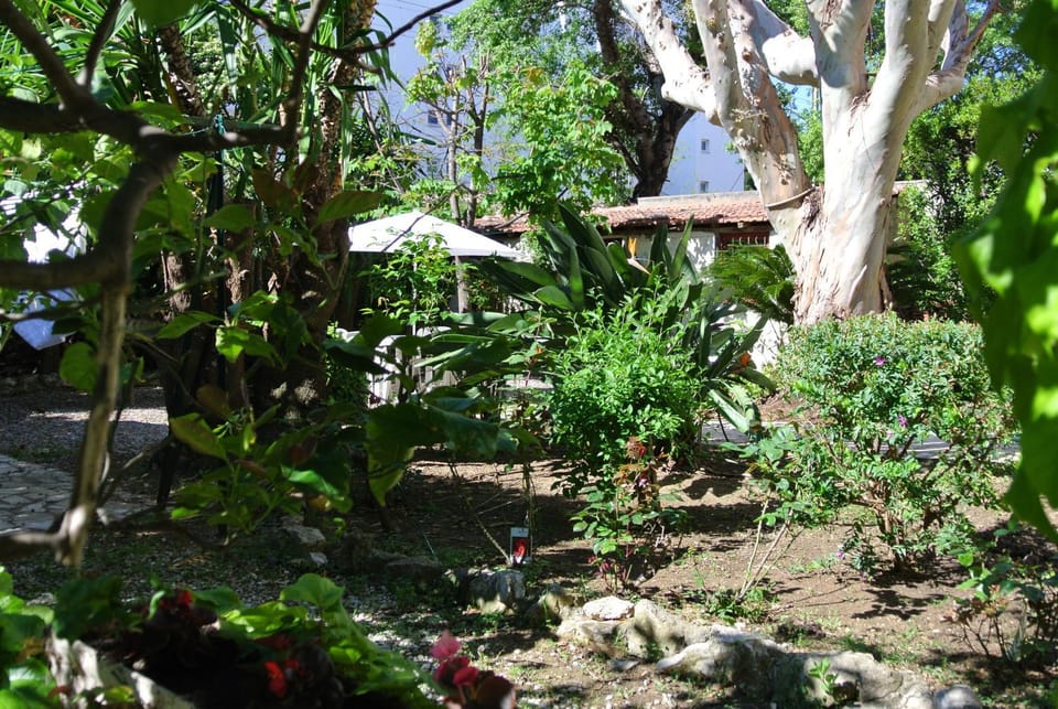Day, Garden